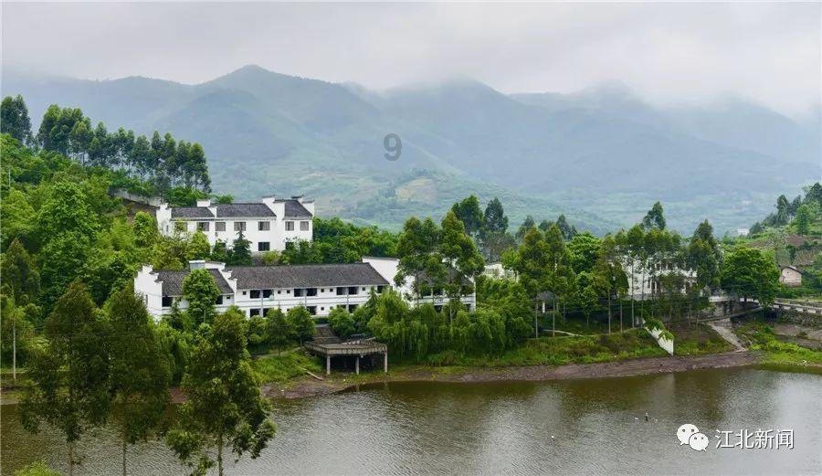 寻找遗失的手提包